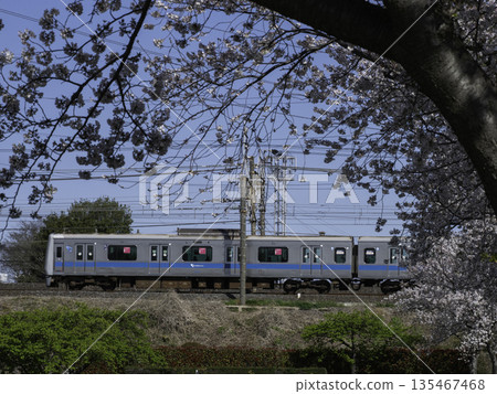 小田急4000系列和櫻花 135467468