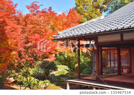 Autumn leaves of Genkoan 135467534