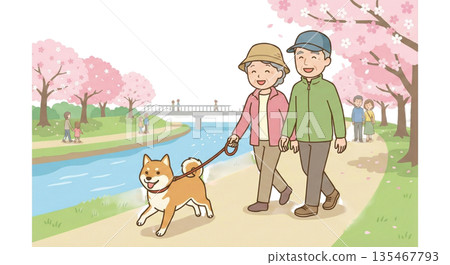 Walking pets (dogs) 135467793