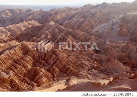 智利的阿塔卡馬沙漠是世界三大沙漠之一。 智利的阿塔卡馬沙漠是世界三大沙漠之一。 135468045