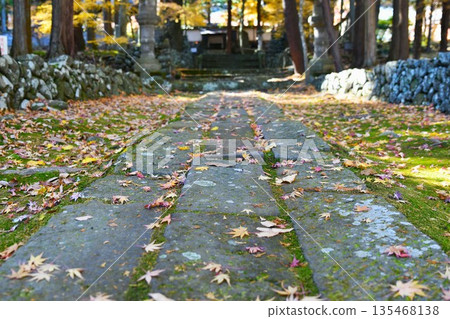 Autumn leaves floating in water 135468138