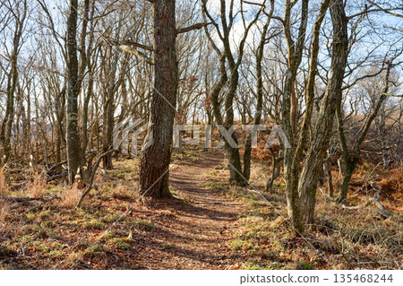 Ruri Gorge Deep Mountain Hiking Course 135468244