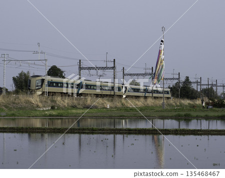 Limited Express Liberty 和鯉魚擬餌 135468467