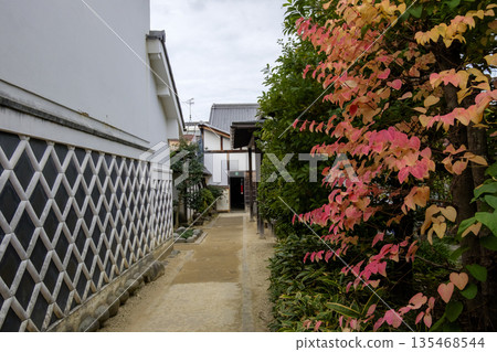 Storehouse and courtyard of the former Isobe family residence in Inuyama Castle Town (Inuyama Minamikoken, Inuyama City, Aichi Prefecture) Storehouse and courtyard of the former Isobe family residence in Inuyama Castle Town (Inuyama Minamikoken, Inuyama City, Aichi Prefecture) 135468544