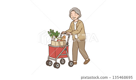 推著銀色購物車購物 推著銀色購物車購物 135468695