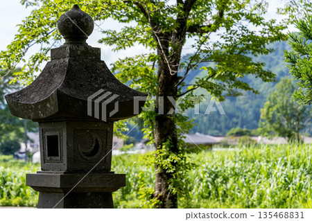 Stone lanterns and midsummer greenery Stone lanterns and midsummer greenery 135468831