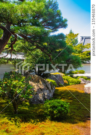 【京都風景】南禪寺（1）北條庭園“虎崽過馬路庭園” 135468870