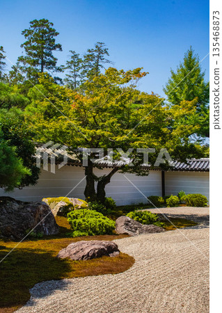 【京都風景】南禪寺（1）北條庭園“虎崽過馬路庭園” 135468873