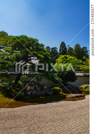 【京都風景】南禪寺（1）北條庭園“虎崽過馬路庭園” 135468877