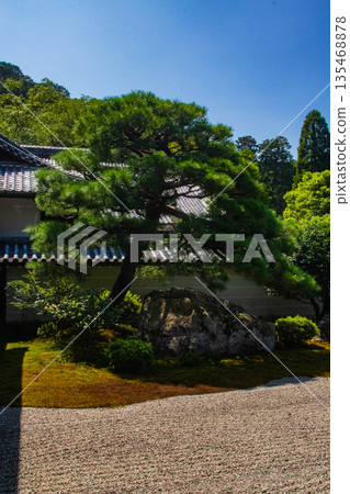 【京都風景】南禪寺（1）北條庭園“虎崽過馬路庭園” 135468878