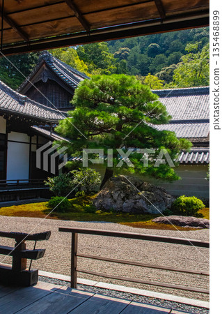 【京都風景】南禪寺（1）北條庭園“虎崽過馬路庭園” 135468899