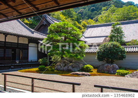 【京都風景】南禪寺（1）北條庭園“虎崽過馬路庭園” 135468902