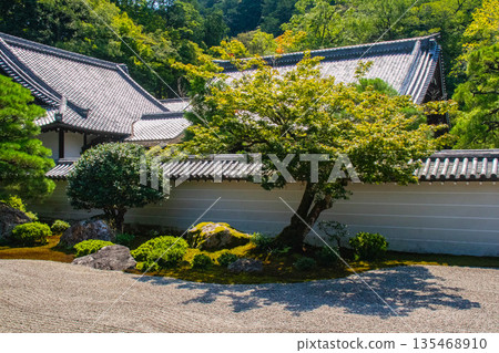 【京都風景】南禪寺(1)北條庭園“虎崽過馬路庭園” 【京都風景】南禪寺(1)北條庭園“虎崽過馬路庭園” 135468910