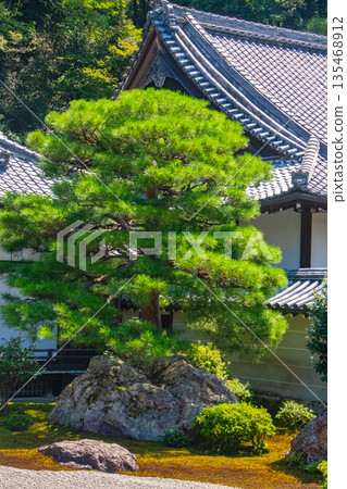 【京都風景】南禪寺（1）北條庭園“虎崽過馬路庭園” 135468912