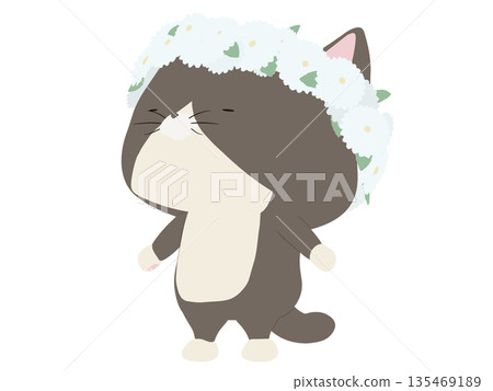 A calico cat wearing a flower crown A calico cat wearing a flower crown 135469189