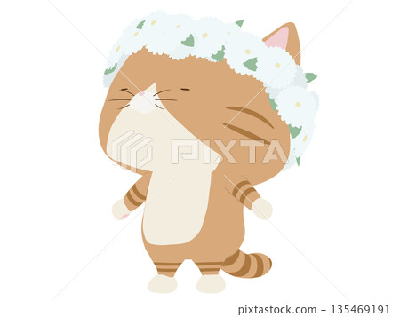 Brown tabby cat wearing a flower crown Brown tabby cat wearing a flower crown 135469191