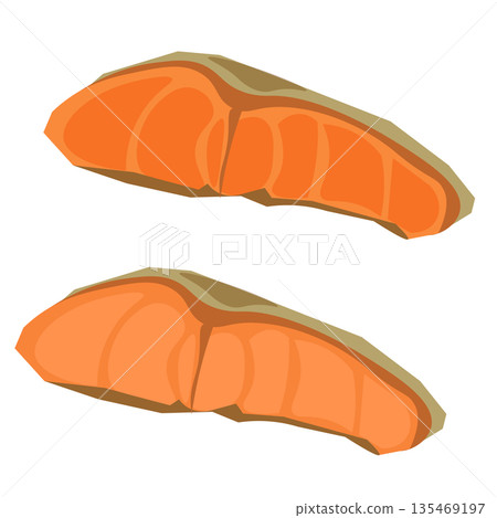 Vector illustration of grilled salmon fillet 135469197
