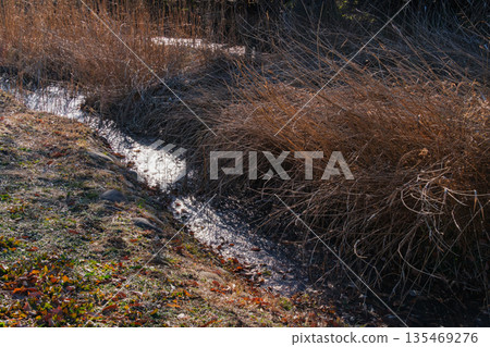 Frozen waterside 135469276