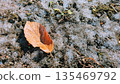 frost pillar and fallen leaves 135469792