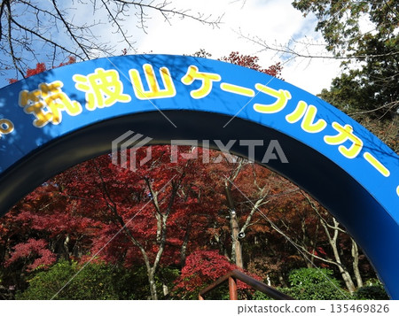 筑波山纜車宮脅站前的拱門與秋楓 135469826