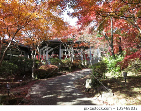 紅葉號列車停靠筑波山纜車宮脅站，子宮脅站週邊秋葉美景盡收眼底。 135469832
