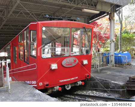 筑波山宮脅站的紅葉纜車裝飾著秋葉。 135469842