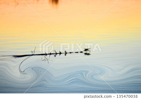 First sunrise of Kasumigaura where water birds play First sunrise of Kasumigaura where water birds play 135470038