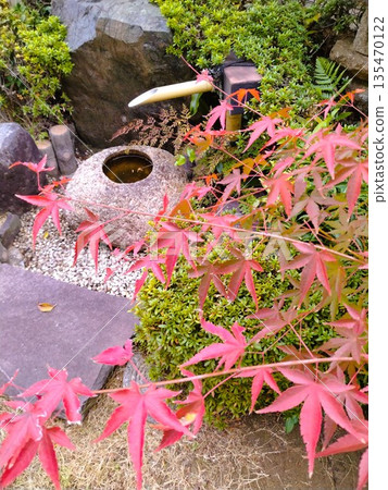 秋葉景觀日式花園,秋葉美景,標題更改 秋葉景觀日式花園,秋葉美景,標題更改 135470122