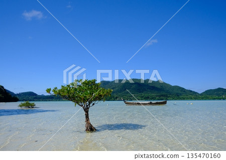 Sabani boat and Kabira Bay 135470160