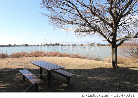 加古池的冬季景色(兵庫縣伊波町) 加古池的冬季景色(兵庫縣伊波町) 135470351