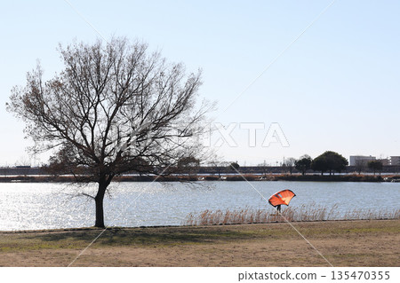 加古池的冬季景色（兵庫縣伊波町） 135470355