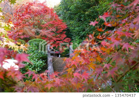 次高王觀音寂光院：秋葉與通往萬永堂的階梯 135470437