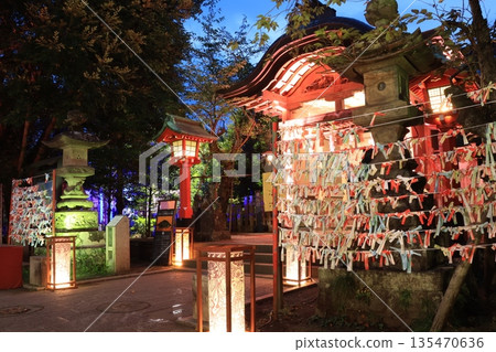 Illuminated Enoshima at night 135470636