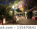Illuminated Enoshima at night 135470641