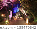 Illuminated Enoshima at night 135470642