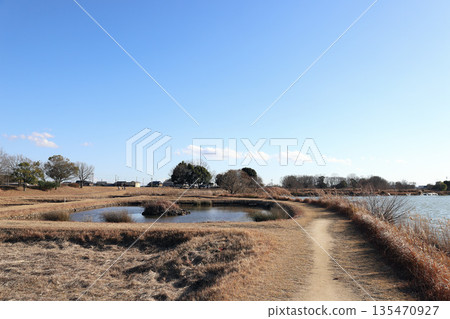 加古大池水生植物園（兵庫縣伊波町） 135470927
