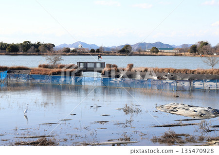 加古大池水生植物園(兵庫縣伊波町) 加古大池水生植物園(兵庫縣伊波町) 135470928