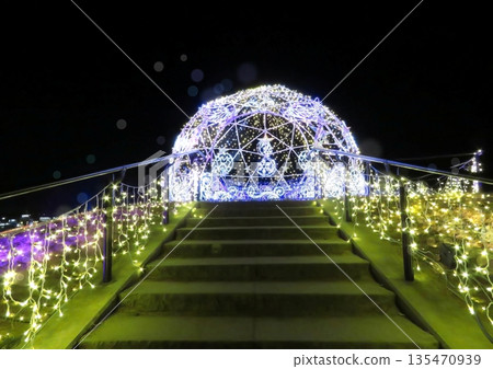 本莊市萬壽菊山公園的穹頂燈光秀 135470939