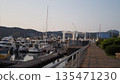 神奈川港 135471230