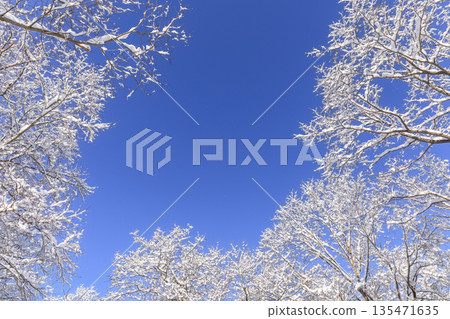 北海道千歲市湛藍天空下的霜花（二月） 135471635