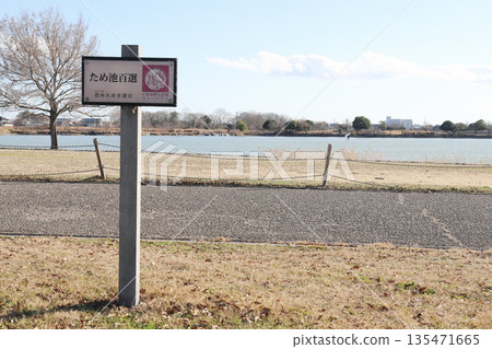 加古池的冬季景色（兵庫縣伊波町） 135471665