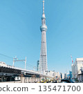 抬頭看天空樹 135471700