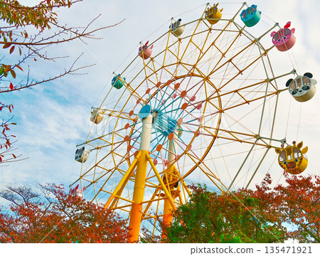 Autumn leaves and a colorful Ferris wheel Autumn leaves and a colorful Ferris wheel 135471921