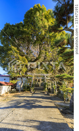 New Year at Shirahige Shrine New Year at Shirahige Shrine 135471951