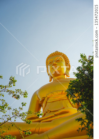asia travel with large buddhist and beautiful temple with river at Bangkok Thailand in summer season asia travel with large buddhist and beautiful temple with river at Bangkok Thailand in summer season 135472015