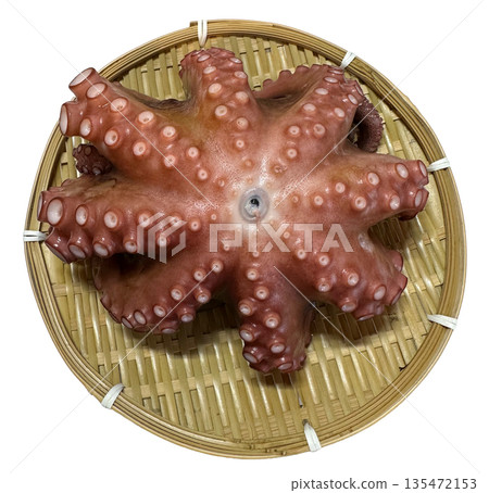 煮章魚 煮章魚 135472153