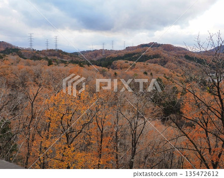 冬山 冬山 135472612