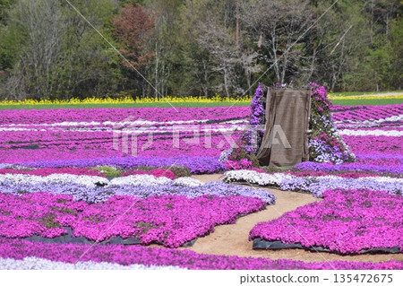 廣島春苔福祿考花夢村 135472675