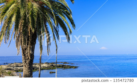 Araihama Beach in Aburatsubo on the Miura Peninsula 135472780