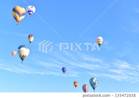 薩迦熱氣球節 135472838